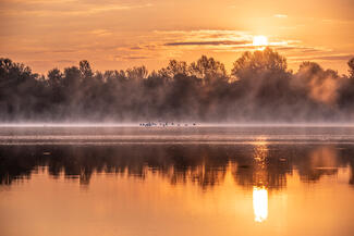 Szertefoszló hajnal Szertefoszló hajnal