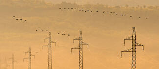 Behúzás aranyló fényben