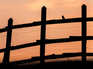 Utolsó ének naplemente előtt