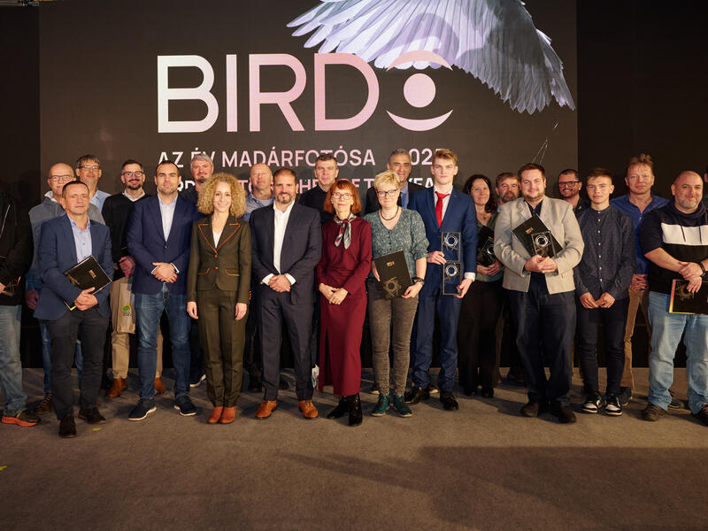 Bird Photographs from Around the World